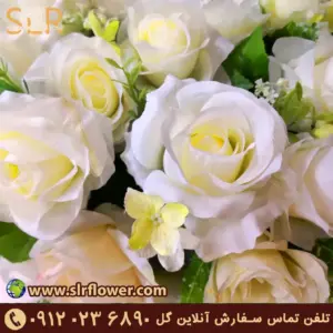Roser flower گل رز 3