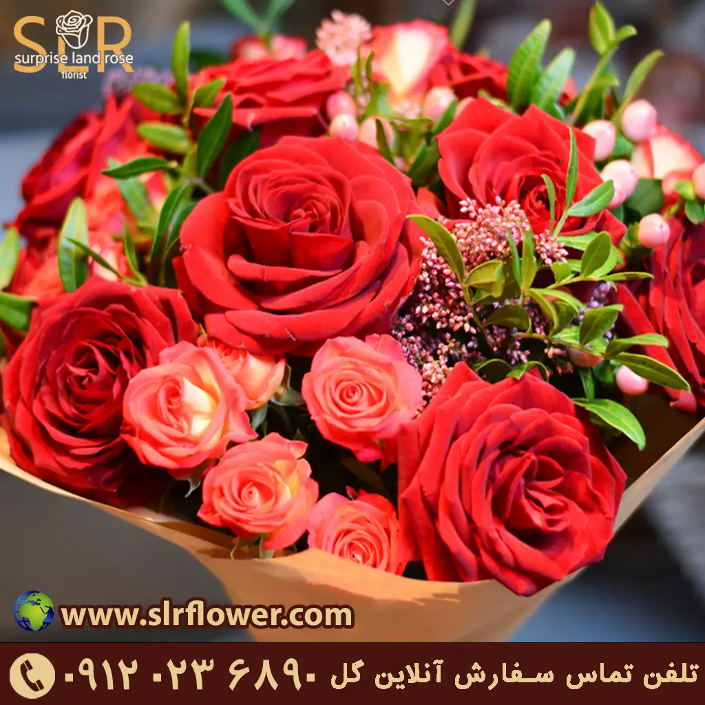 Roser flower گل رز
