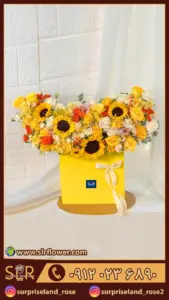 باکس گل آفتابگردان sunflower box