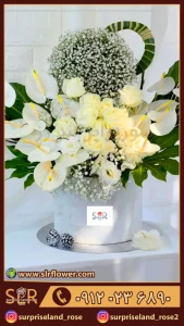 باکس گل آنتوریوم Anthurium flower box 2