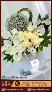 باکس گل آنتوریوم Anthurium flower box 33
