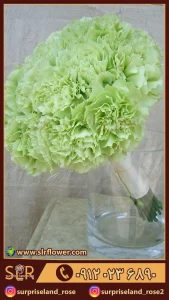 دسته گل طبیعی میخک natural bouquet of carnations 2