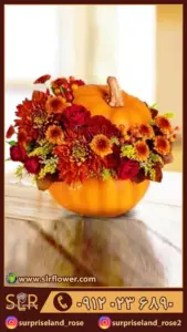 کدو پاییزی citrouille d'automne