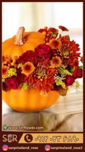 کدو پاییزی citrouille d'automne 2