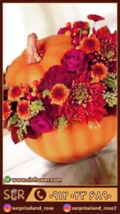 کدو پاییزی citrouille d'automne 3