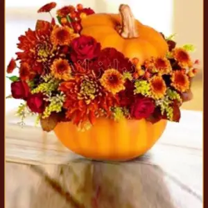 کدو پاییزی citrouille d'automne