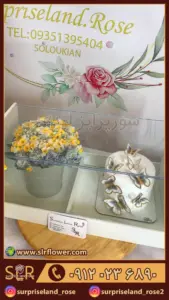 cake and Daffodil flower box کیک و باکس گل نرگس5
