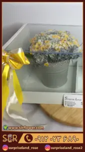cake and Daffodil flower box کیک و باکس گل نرگس5
