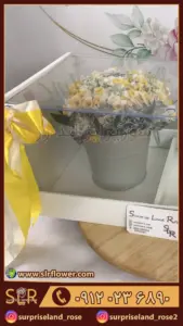 cake and Daffodil flower box کیک و باکس گل نرگس5