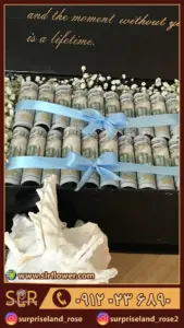 باکس پول و گل پنبه cotton-flower-box-and-money