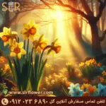 گل نرگس 2 پوستر.webp 2